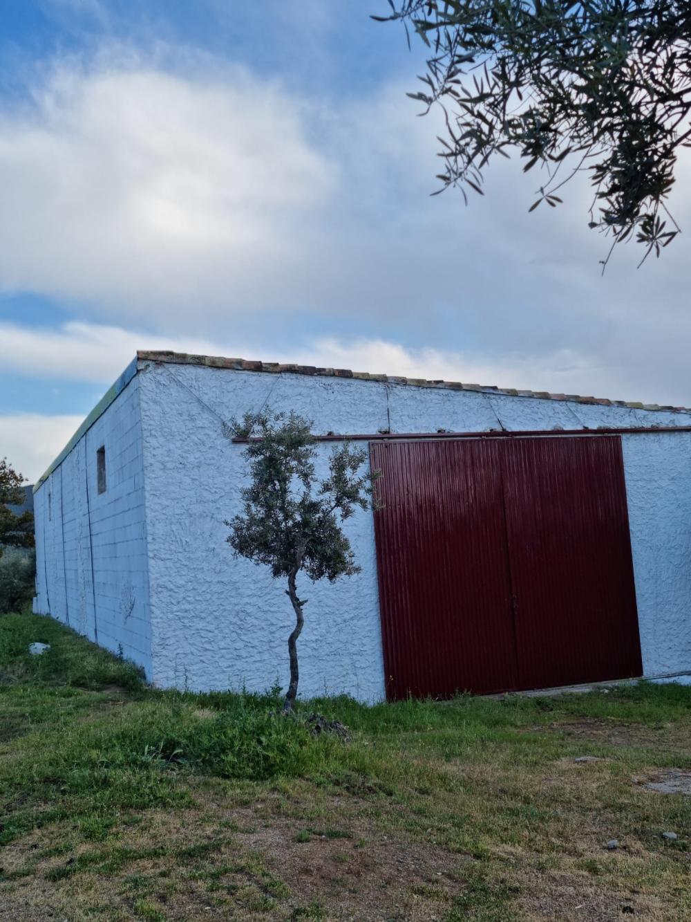  à vendre maison de campagne Pozoblanco Pedroches (Los) 18