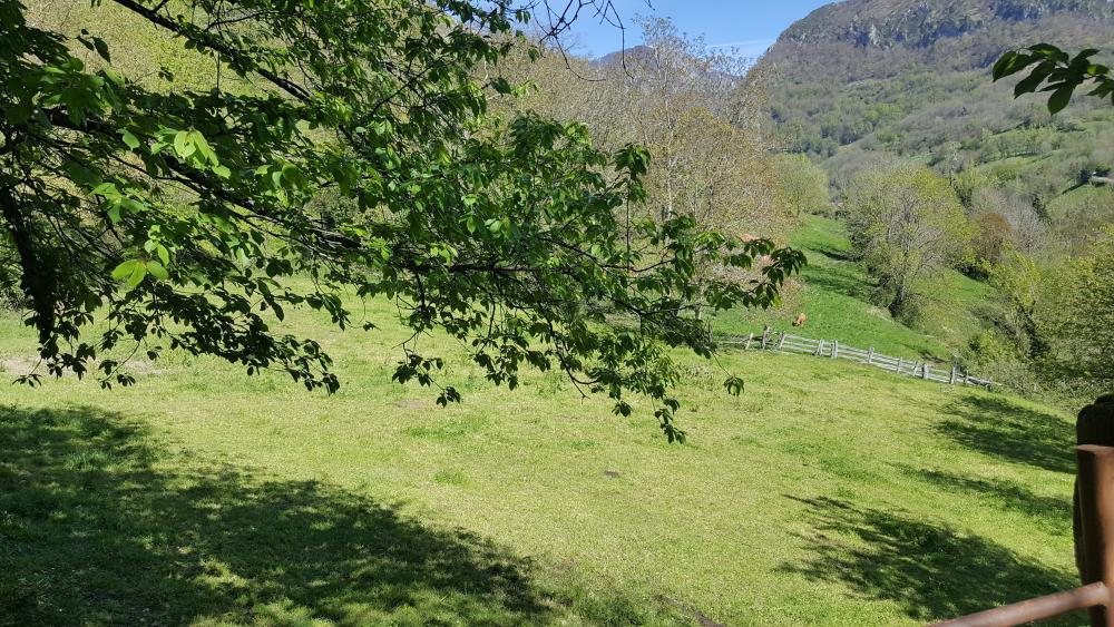  à vendre maison de campagne Bezanes Nalón 13