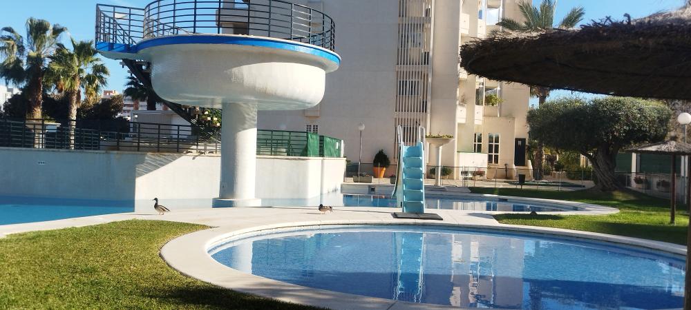  à vendre appartement Playa De San Juan Alacantí 6