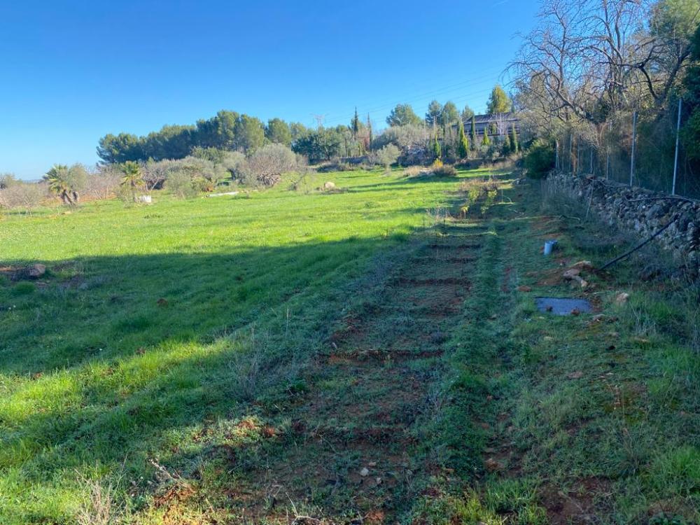  à vendre terrain Vilafamés Plana Alta 10