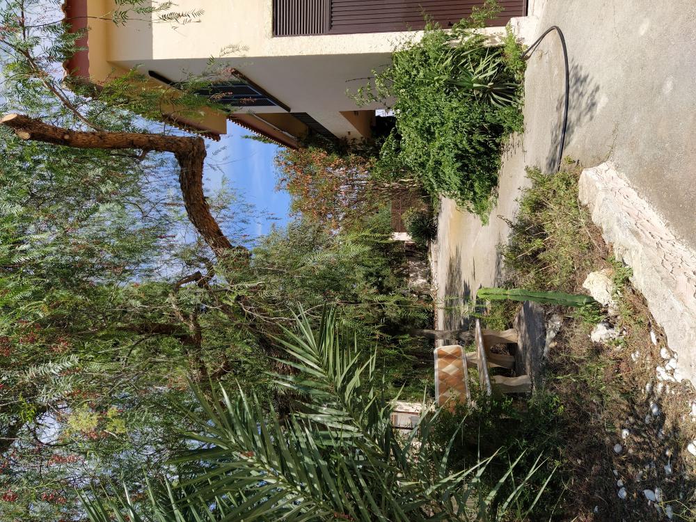  à vendre villa Toscas-Chorrico Vega Media Del Segura 20