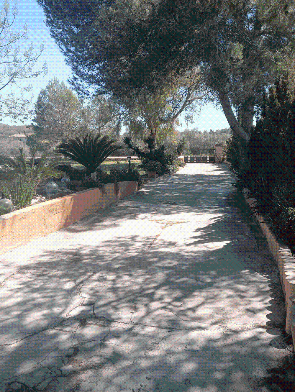  à vendre villa Biniali Pla (Es) 4