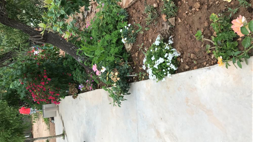  à vendre terrain Vilafamés Plana Alta 35