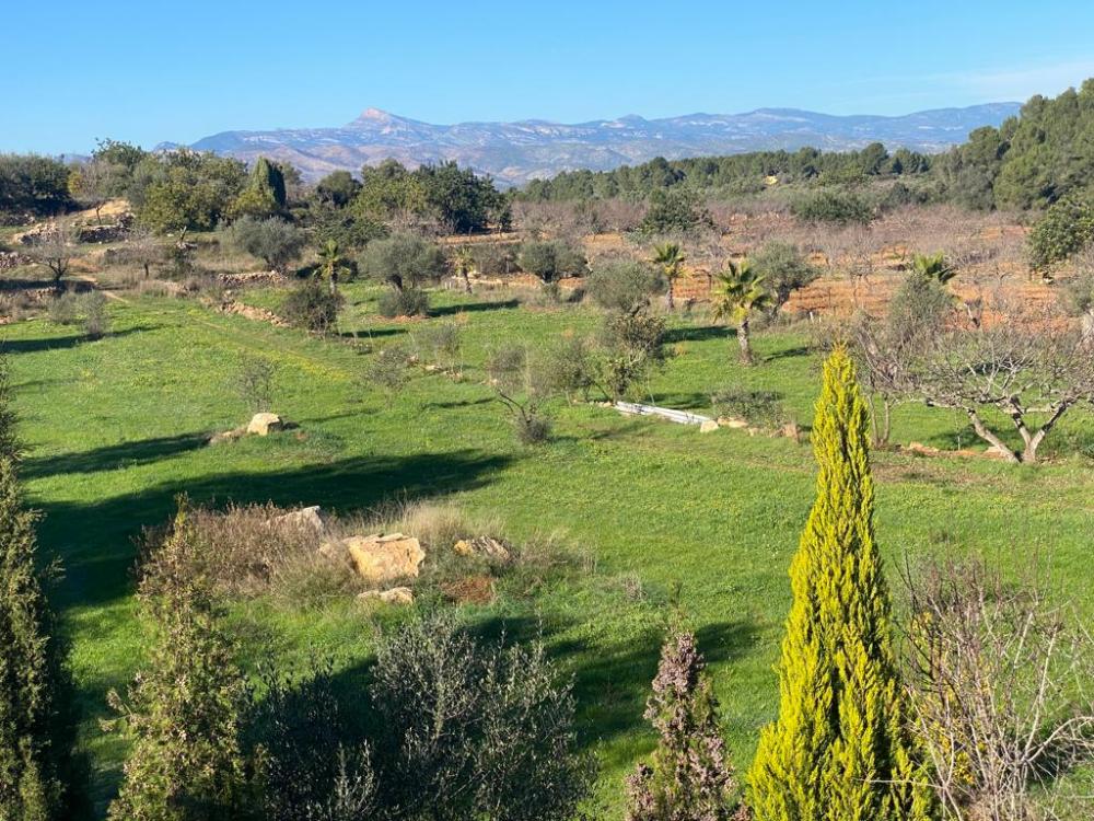  à vendre terrain Vilafamés Plana Alta 9