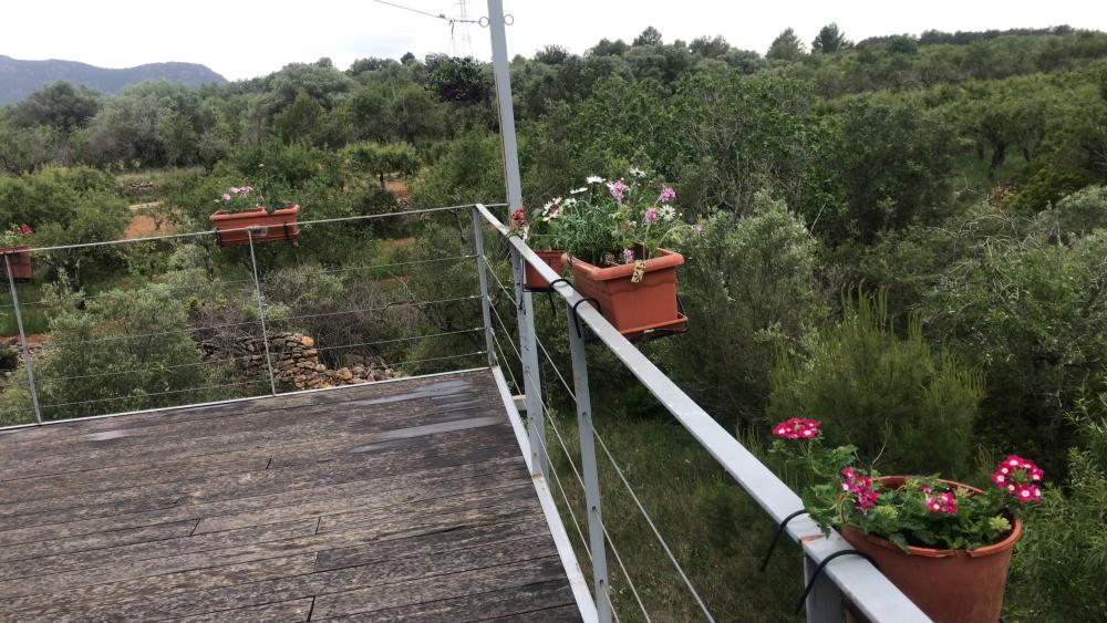  à vendre terrain Vilafamés Plana Alta 18