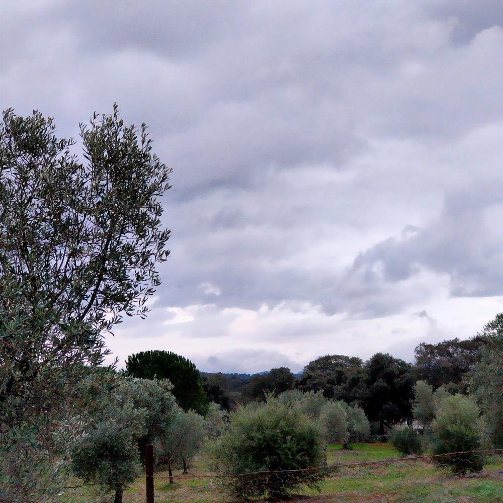  à vendre maison de campagne Espiel Valle Del Guadiato 18