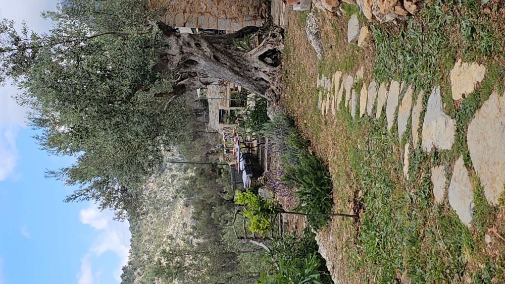  à vendre maison de campagne Fornalutx Tramuntana 17