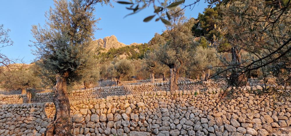  à vendre maison de campagne Fornalutx Tramuntana 8
