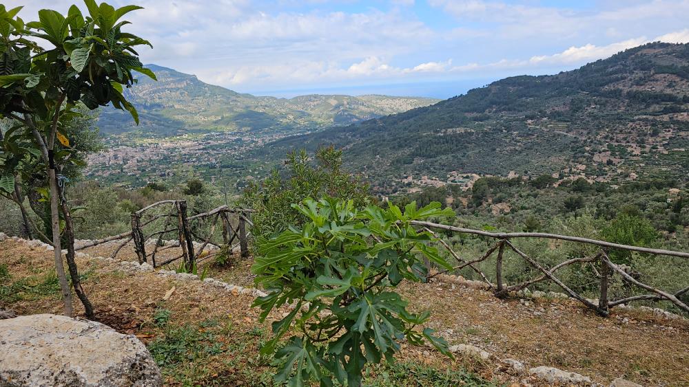  à vendre maison de campagne Fornalutx Tramuntana 15