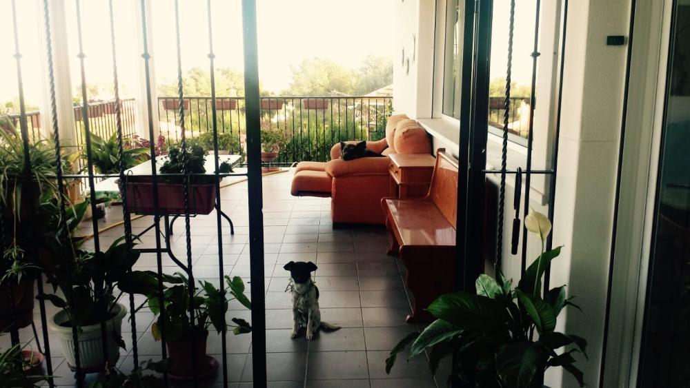  à vendre maison de maître Picassent Horta Sud 17