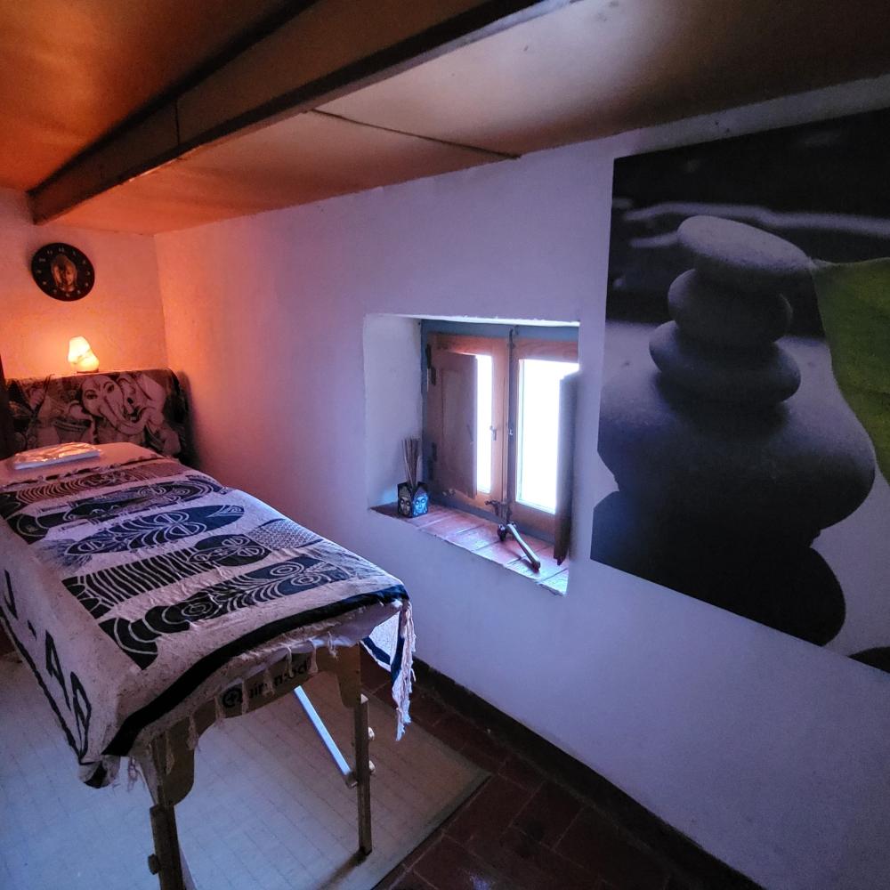  à vendre maison L'albi Garrigues 2