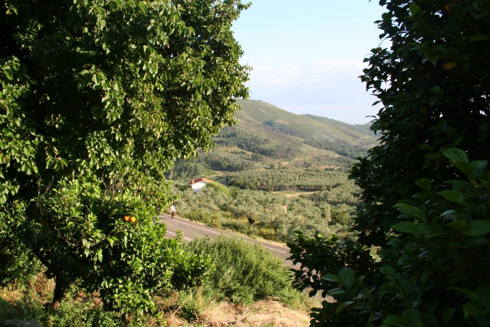  à vendre maison de ville Gata Sierra De Gata 8