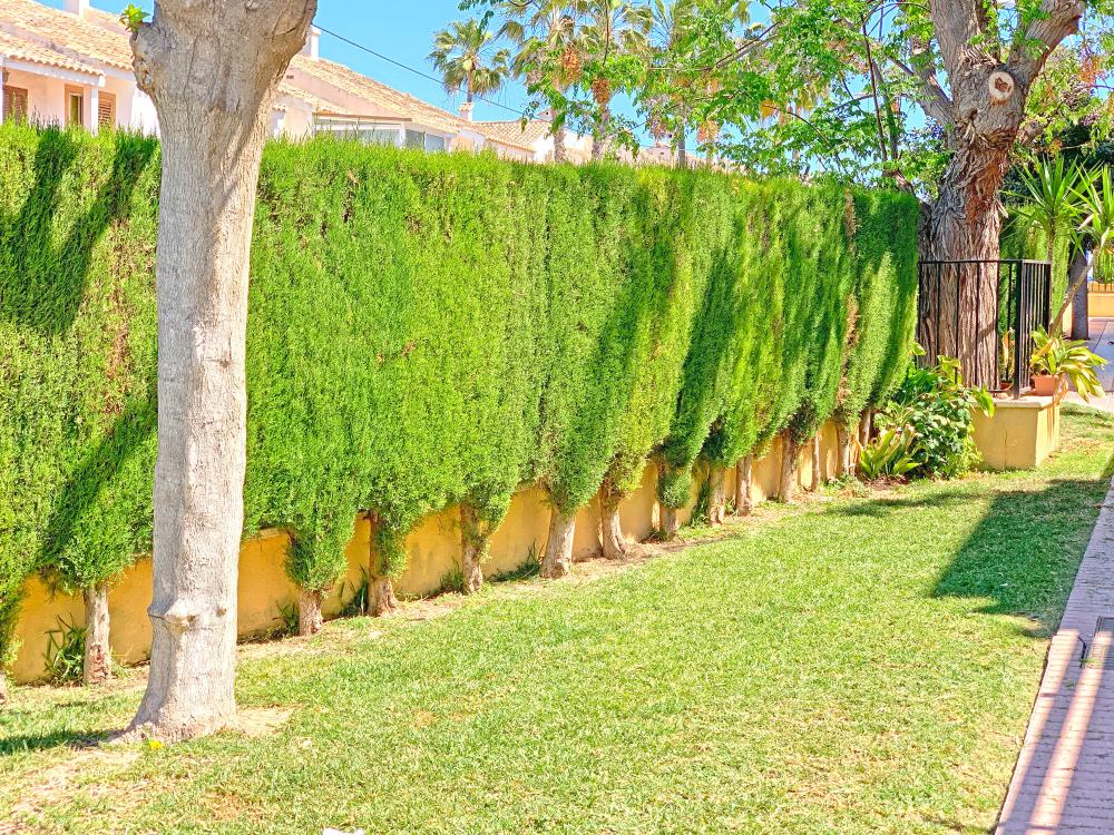  à vendre maison jumelée Gran Alacant Baix Vinalopó 35