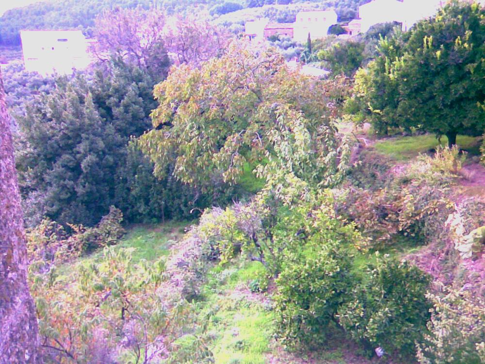  à vendre maison de ville Gata Sierra De Gata 6