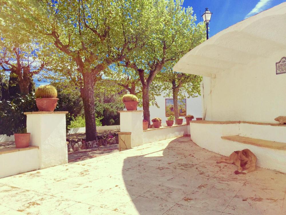  à vendre villa Almoster Baix Camp 78