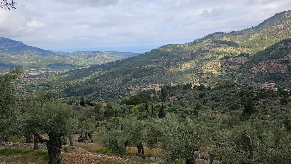  à vendre maison de campagne Fornalutx Tramuntana 25