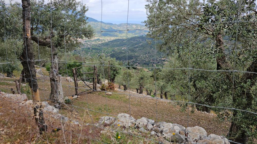  à vendre maison de campagne Fornalutx Tramuntana 23