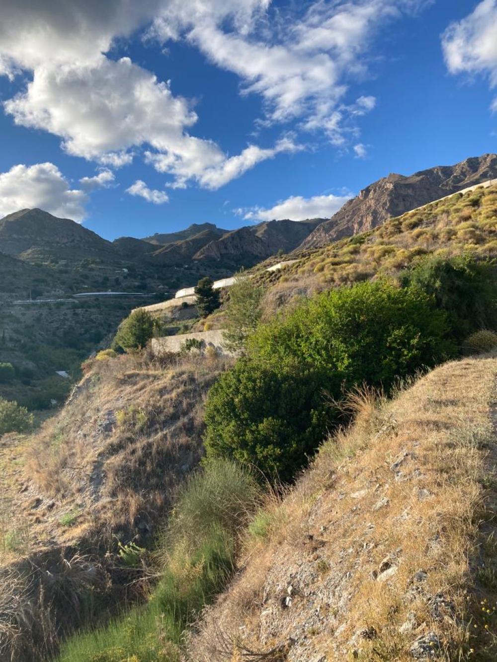  à vendre maison de campagne Molvízar Costa Tropical 5