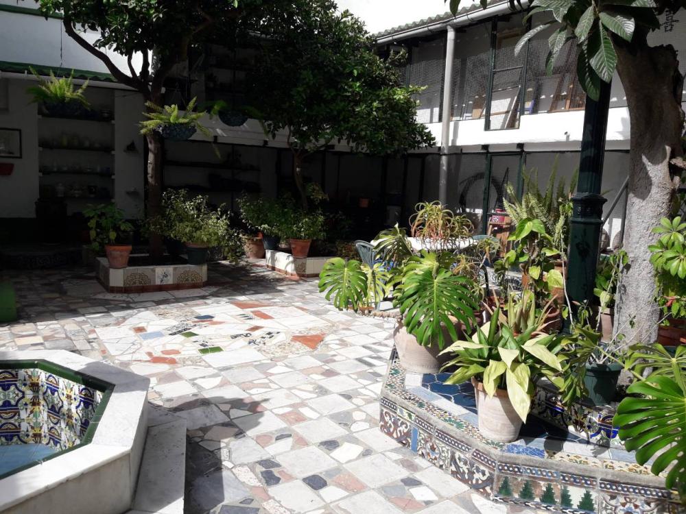  à vendre maison Puerto Real Bahía De Cádiz 23