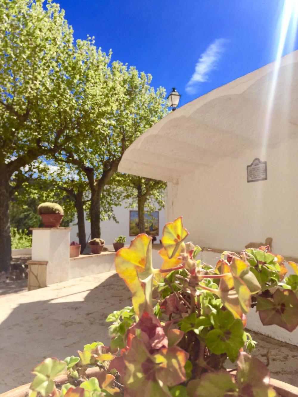  à vendre villa Almoster Baix Camp 80