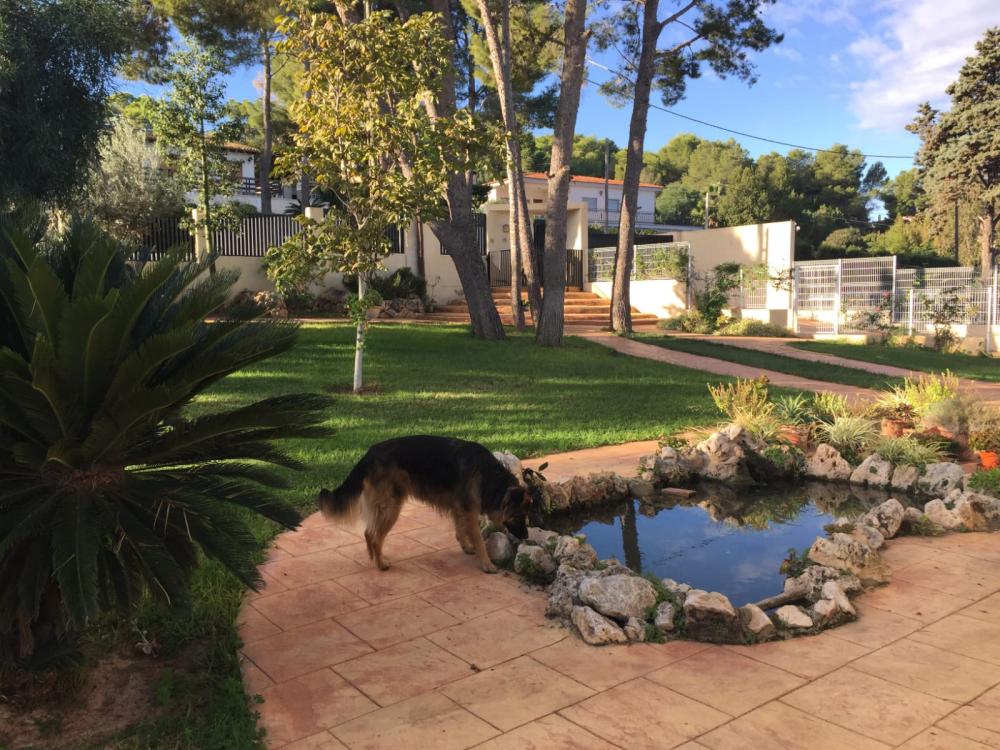  à vendre maison de maître Picassent Horta Sud 4