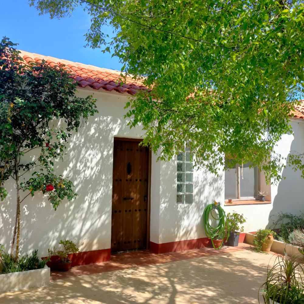  à vendre maison de campagne Espiel Valle Del Guadiato 24