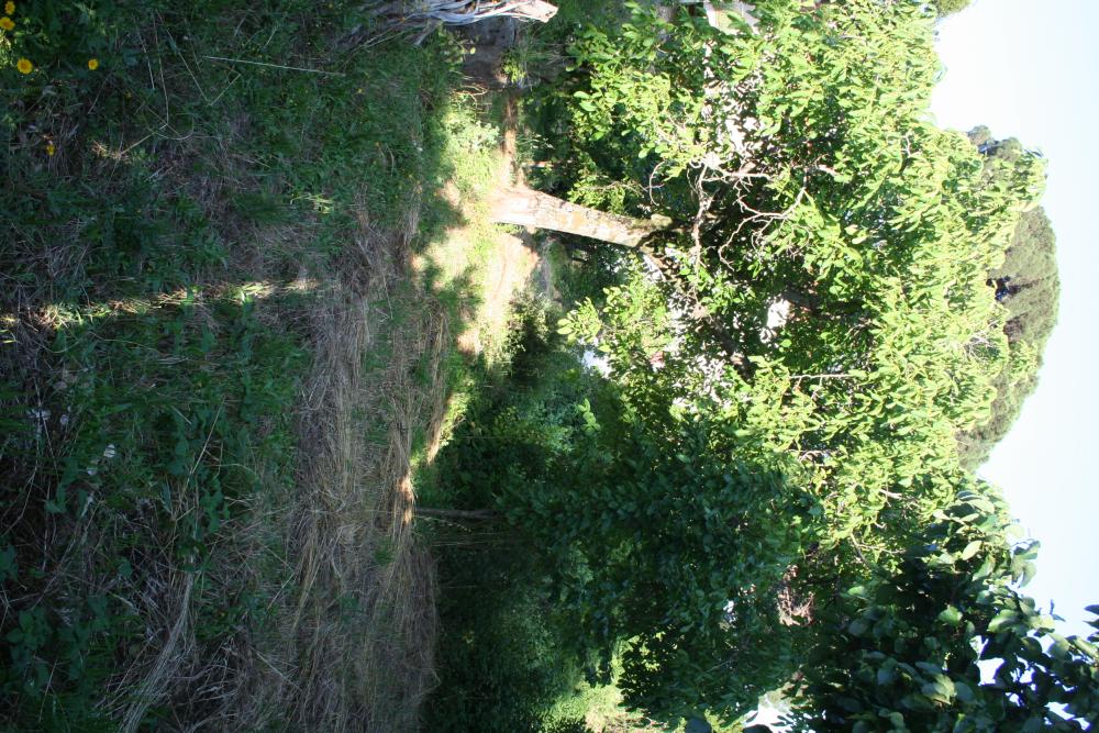  à vendre maison de ville Gata Sierra De Gata 7