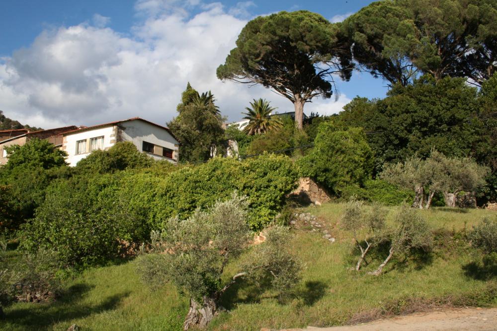  à vendre maison de ville Gata Sierra De Gata 4