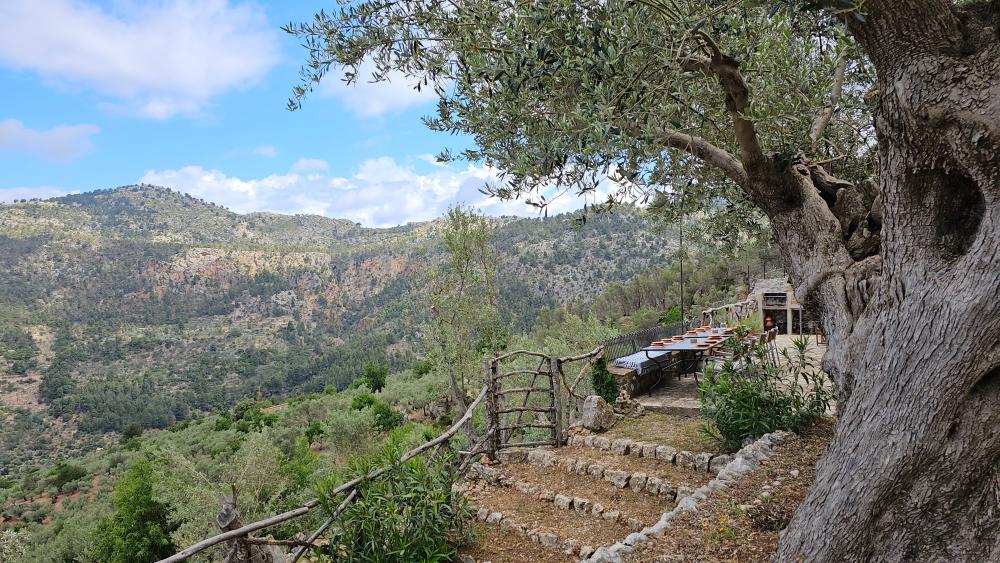  à vendre maison de campagne Fornalutx Tramuntana 14