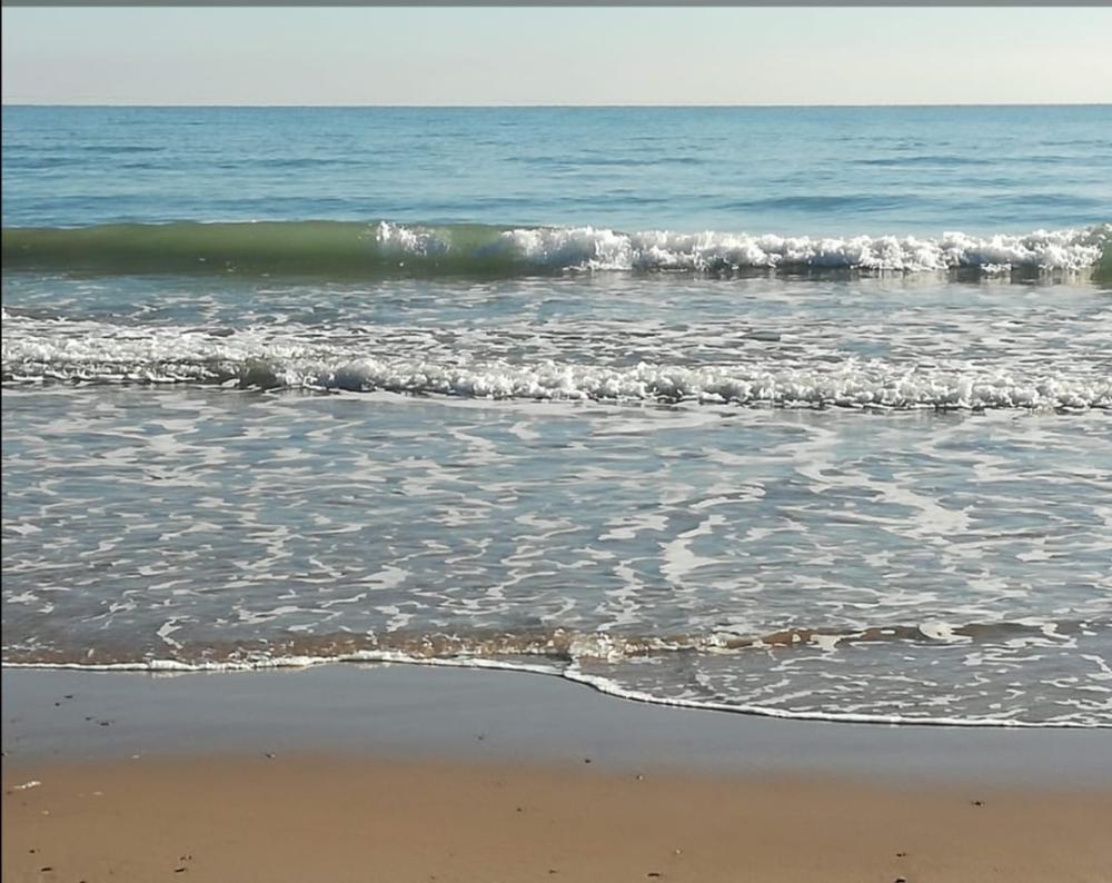  à vendre appartement Canet D'en Berenguer Camp De Morvedre 16