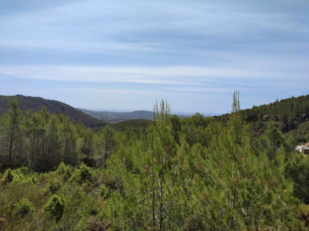  à vendre terrain Sant Carles De Peralta Santa Eulària Des Riu 2
