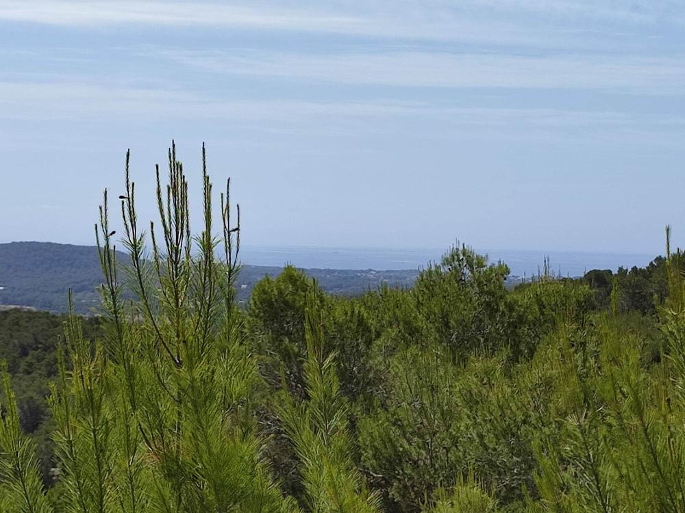  à vendre terrain Sant Carles De Peralta Santa Eulària Des Riu 1