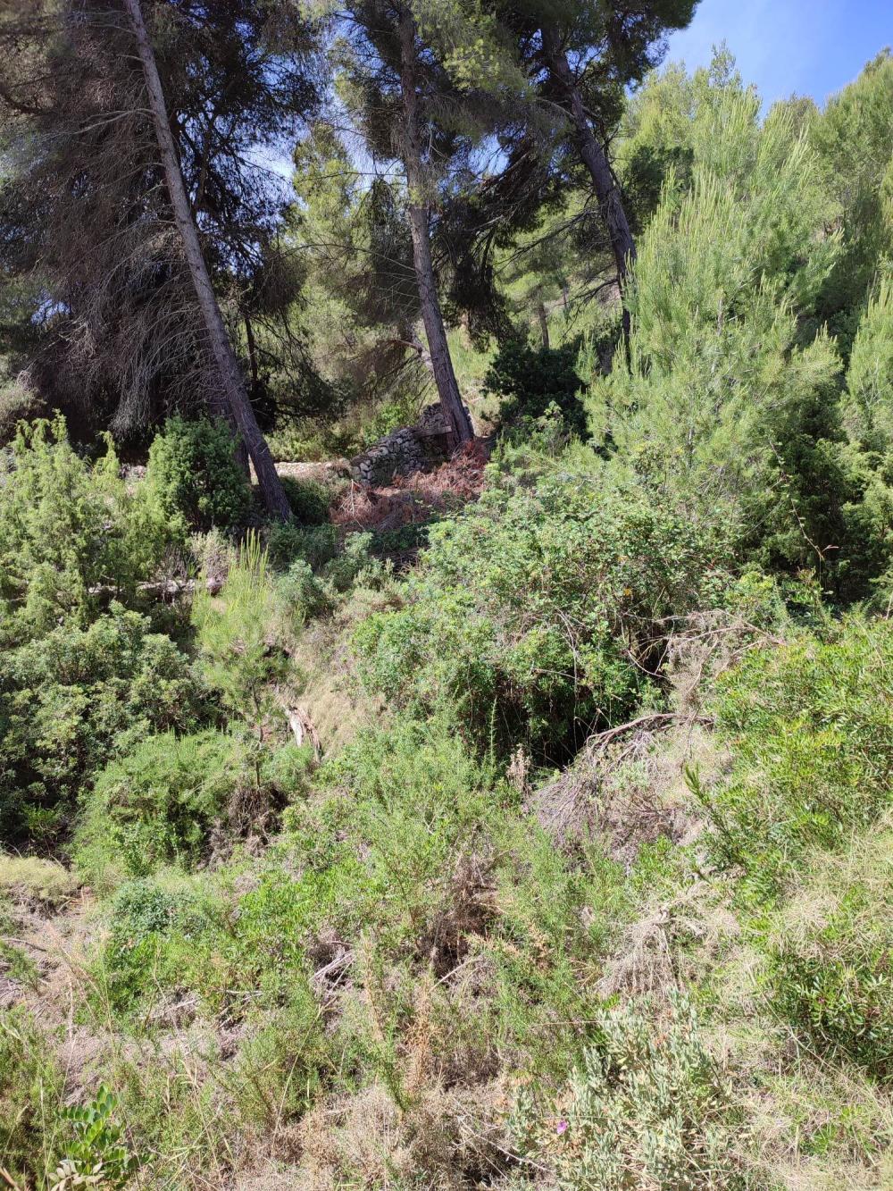  à vendre terrain Sant Carles De Peralta Santa Eulària Des Riu 5