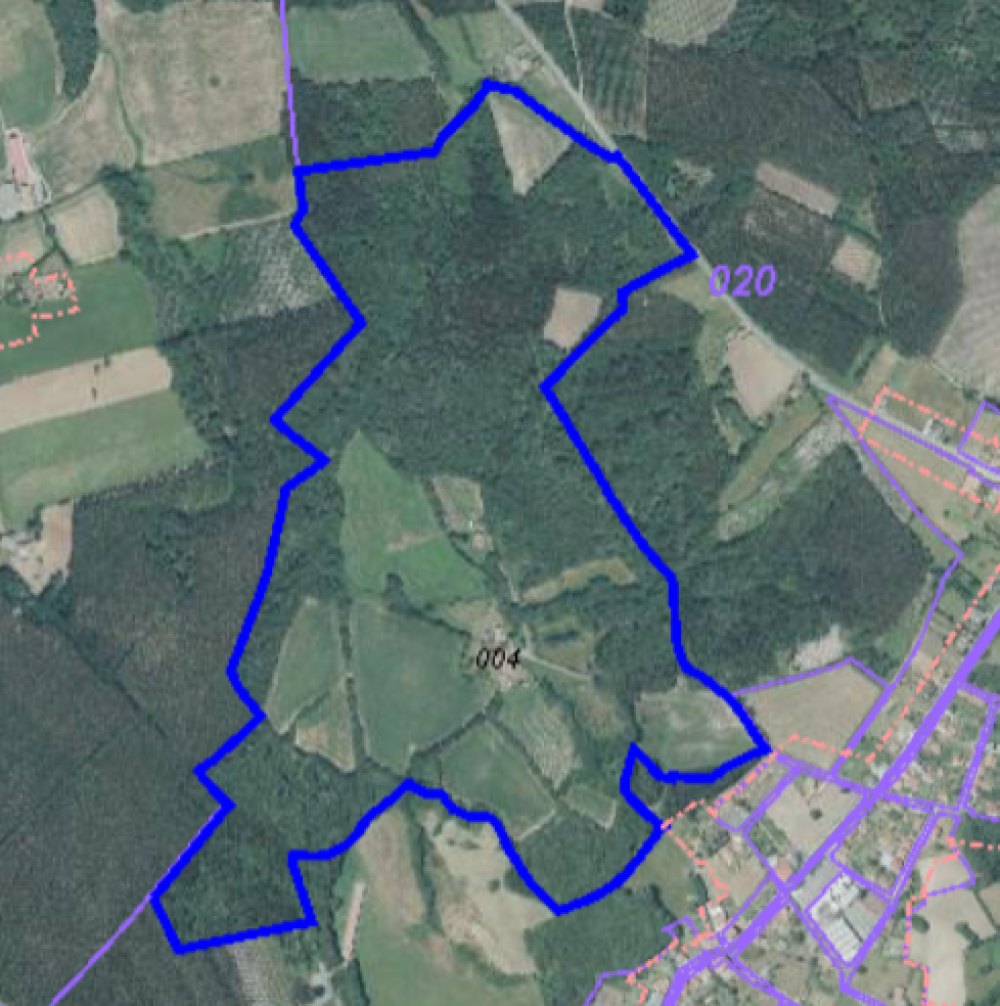  à vendre maison de campagne Boimorto Arzúa 2