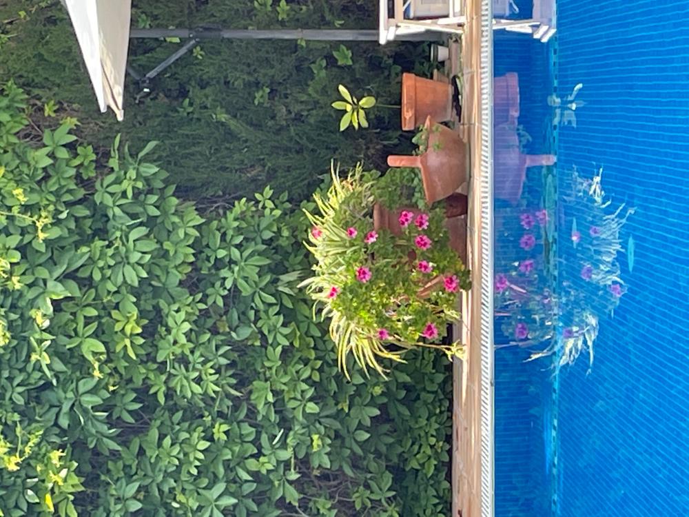  à vendre villa San Pablo-Santa Justa Metropolitana De Sevilla 16