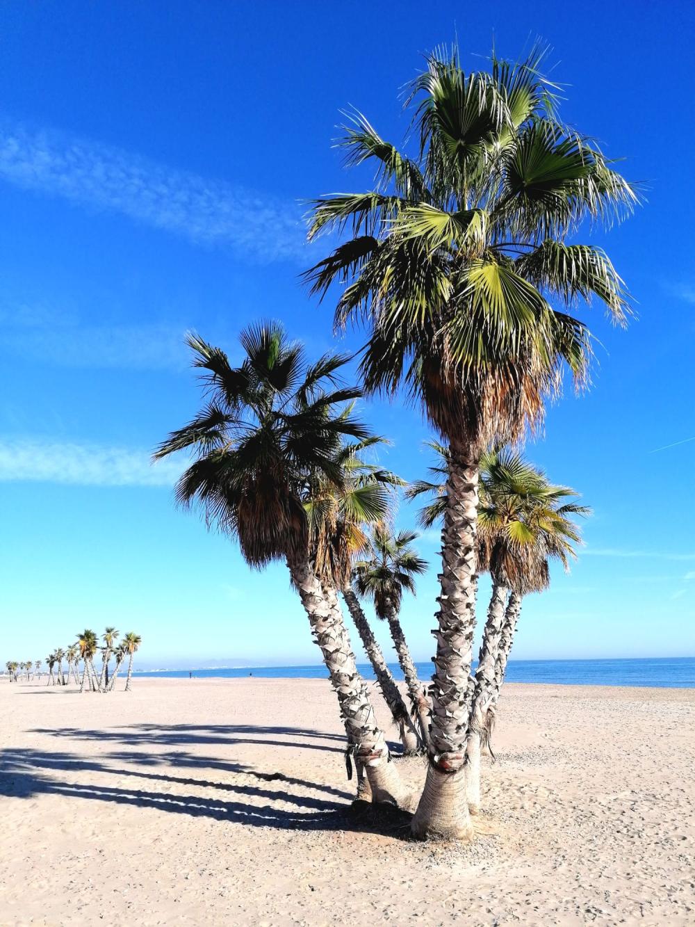  à vendre appartement Canet D'en Berenguer Camp De Morvedre 18