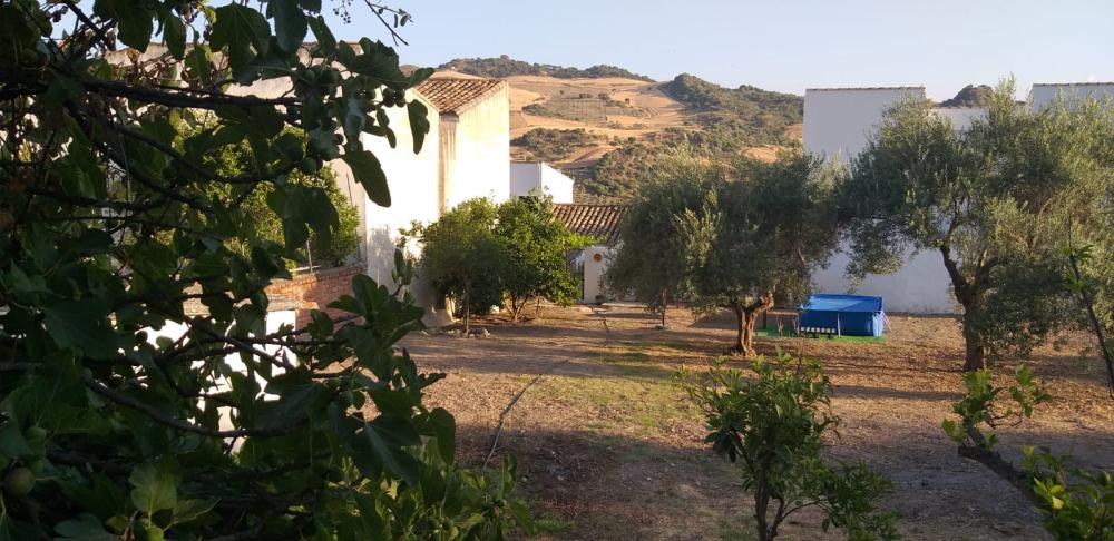  à vendre maison Ronda Serranía De Ronda 2