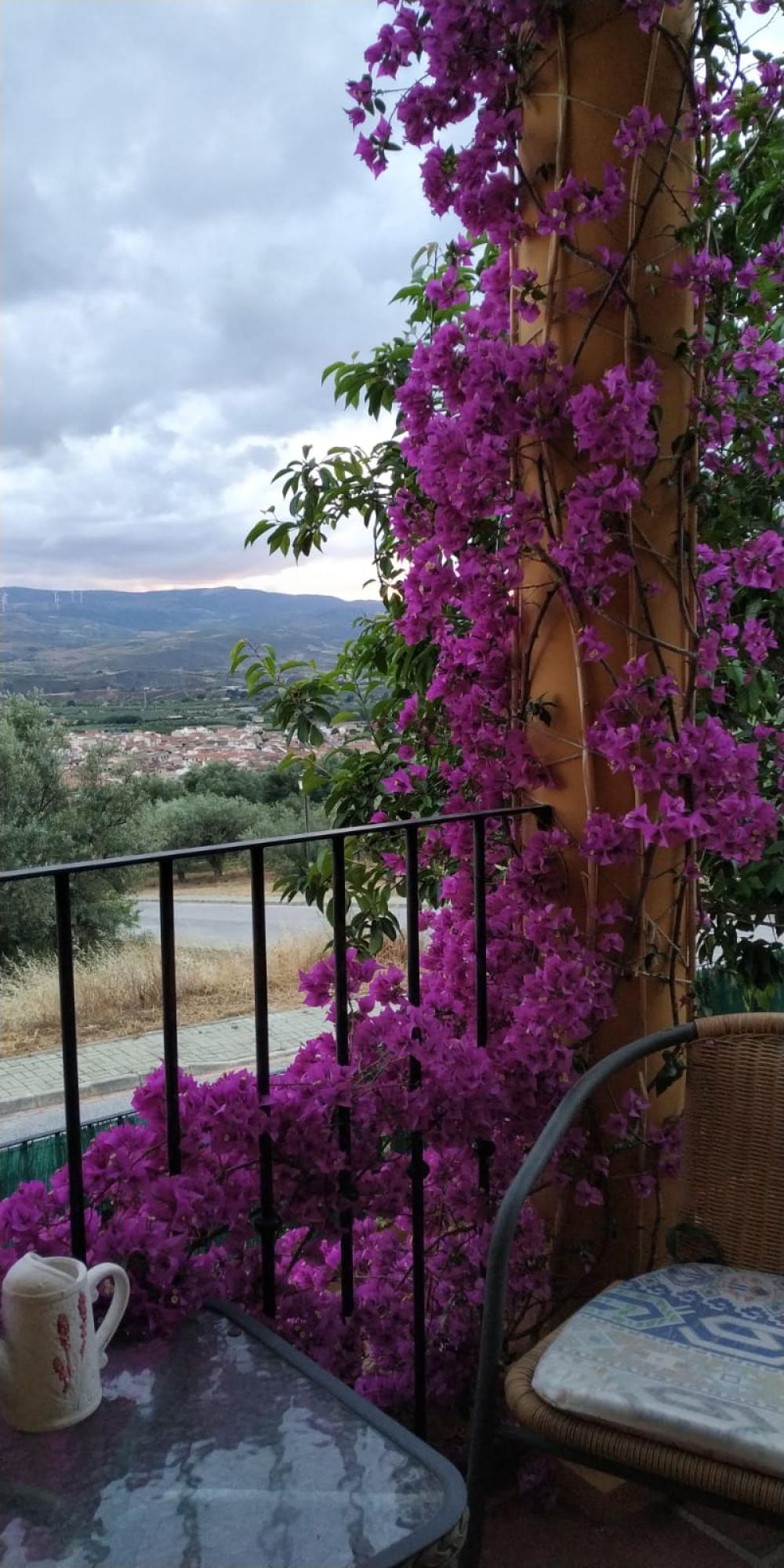  à vendre villa Dúrcal Valle De Lecrín 40