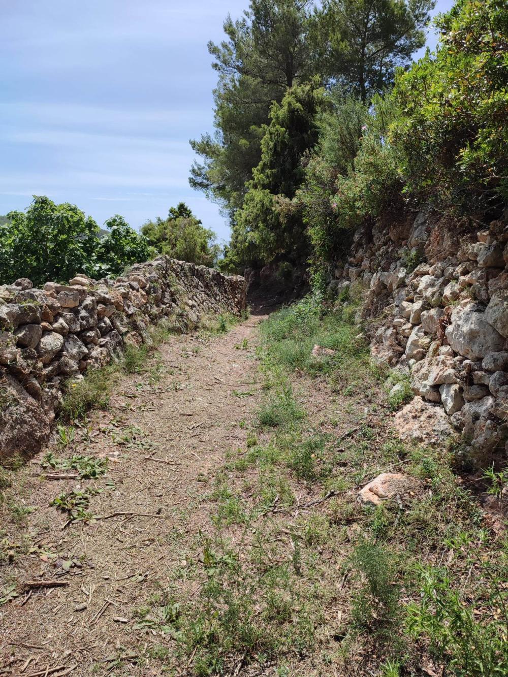  à vendre terrain Sant Carles De Peralta Santa Eulària Des Riu 3
