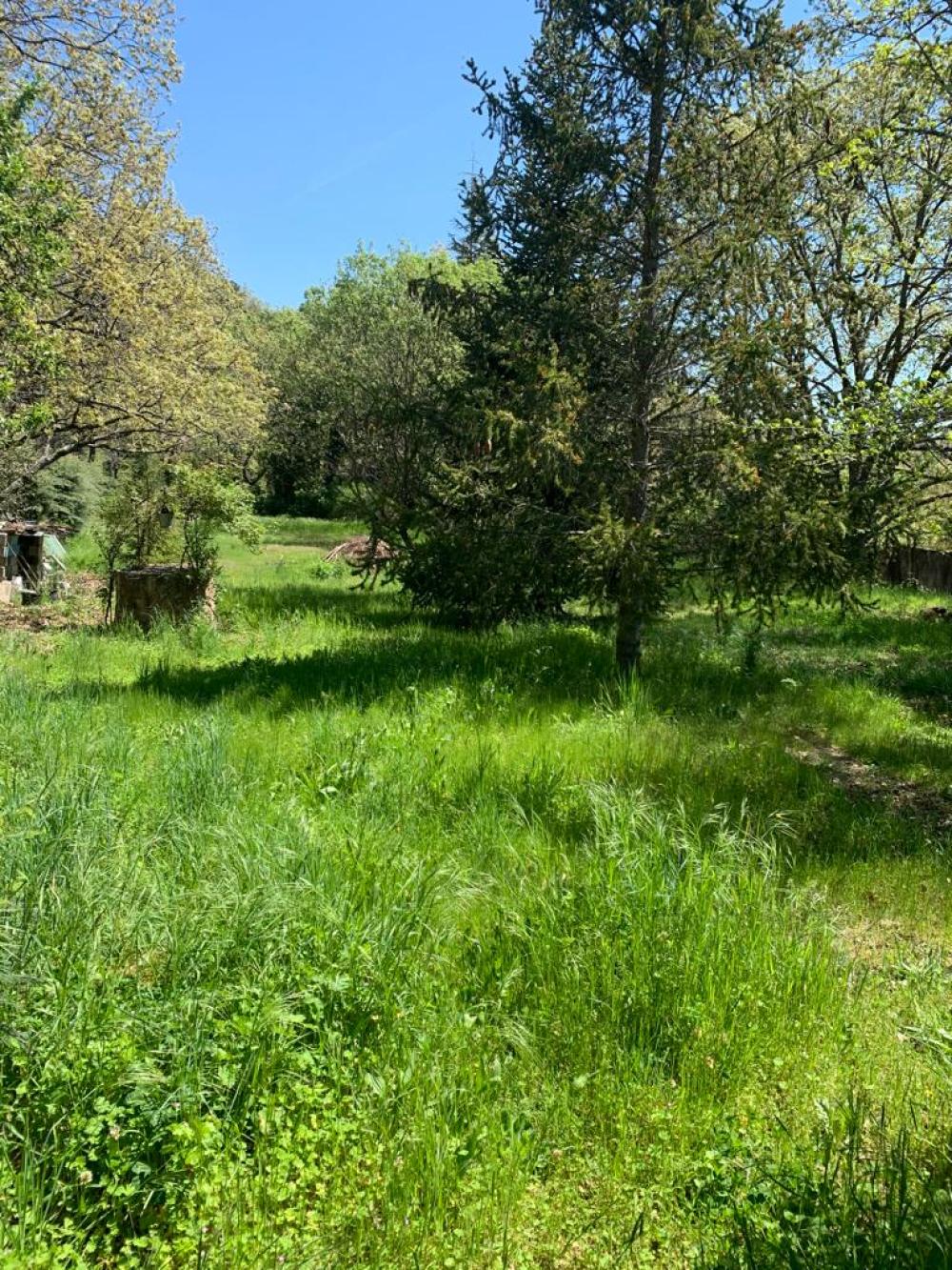  à vendre maison de campagne Miraflores De La Sierra Cuenca Alta Del Manzanares 6