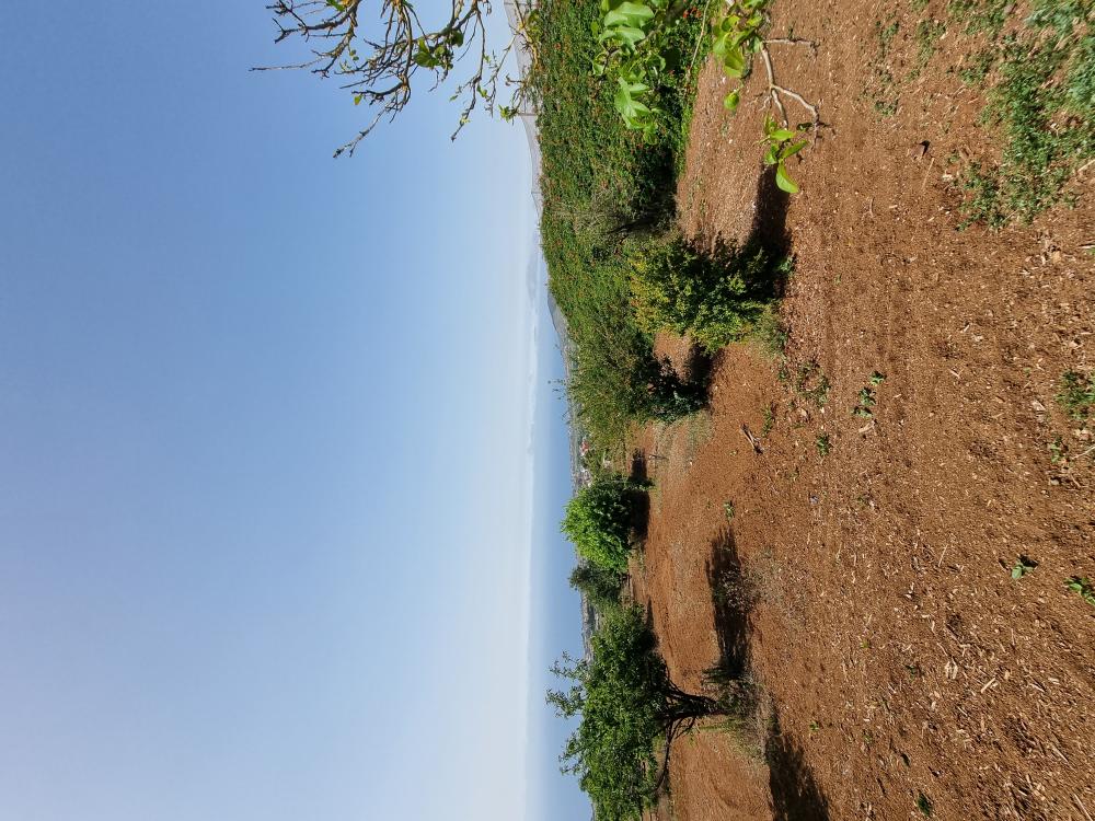  à vendre villa Tacoronte Zona Norte 40