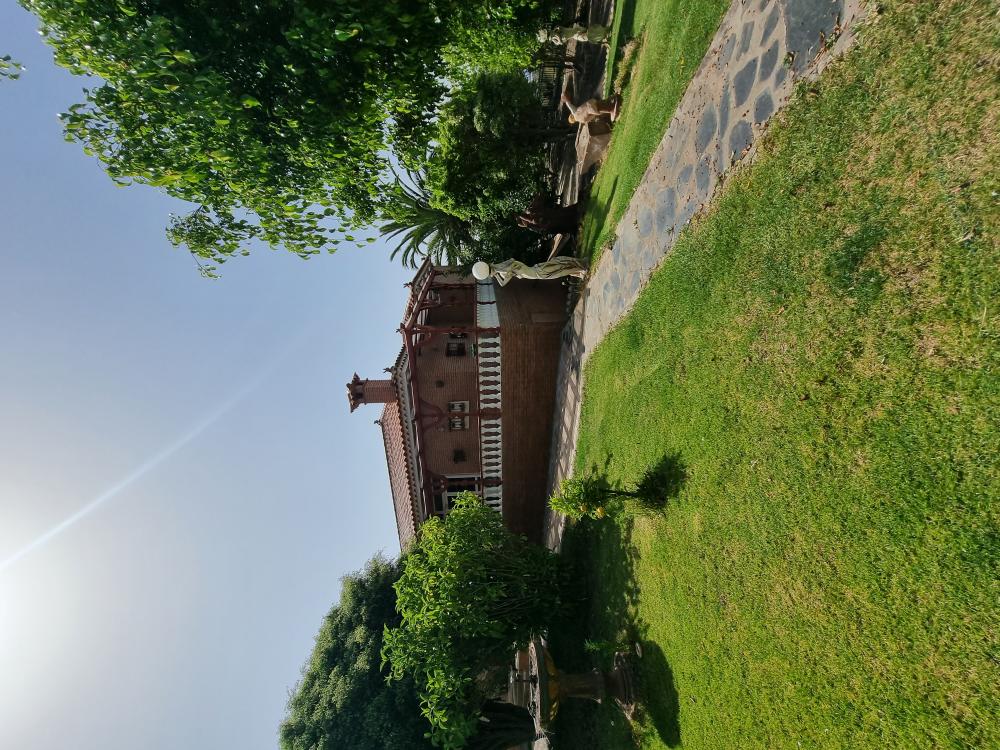  à vendre villa Tacoronte Zona Norte 37