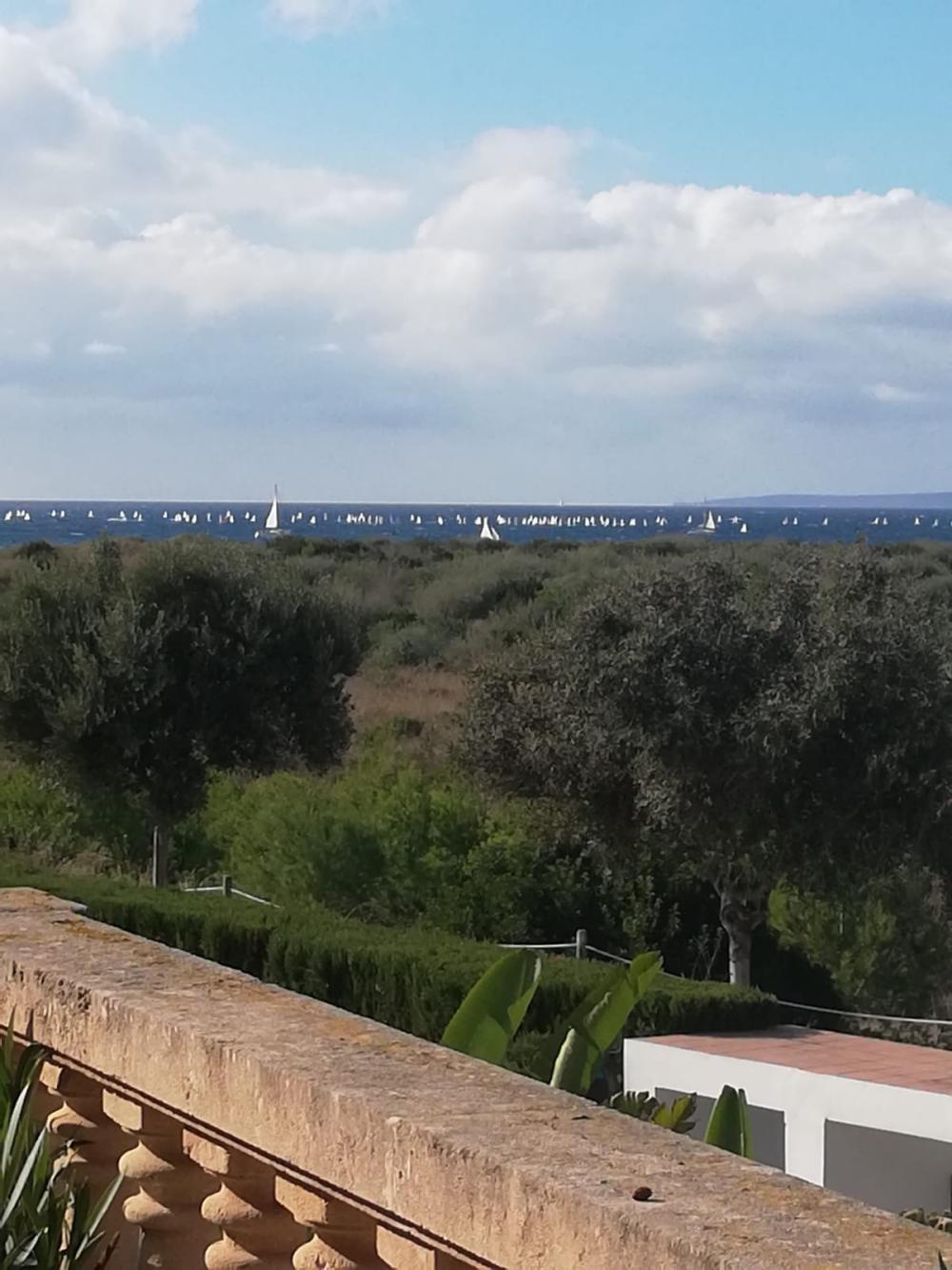  à vendre maison de maître Can Pastilla-Cala Estancia Palma 21