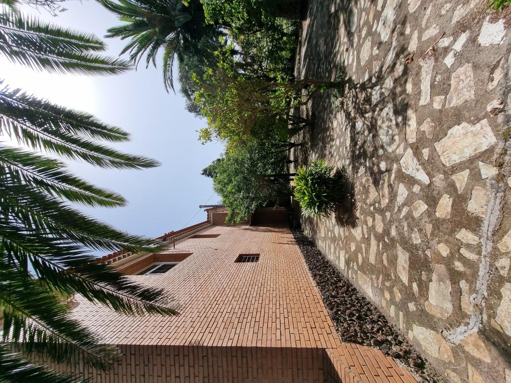  à vendre villa Tacoronte Zona Norte 38