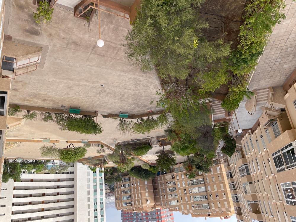  à vendre appartement Ciudad Alta Palmas De Gran Canaria (Las) 14
