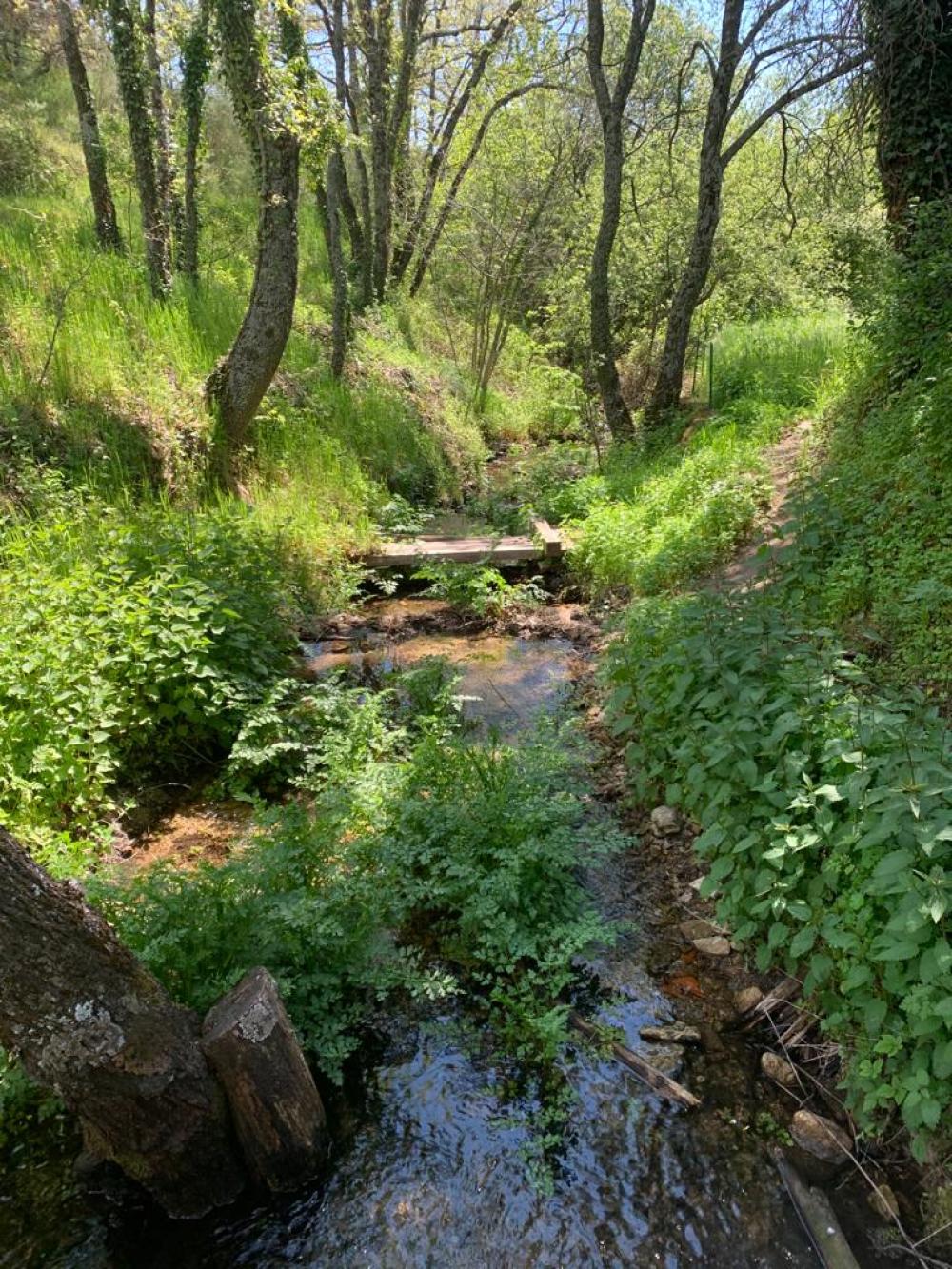 à vendre maison de campagne Miraflores De La Sierra Cuenca Alta Del Manzanares 3