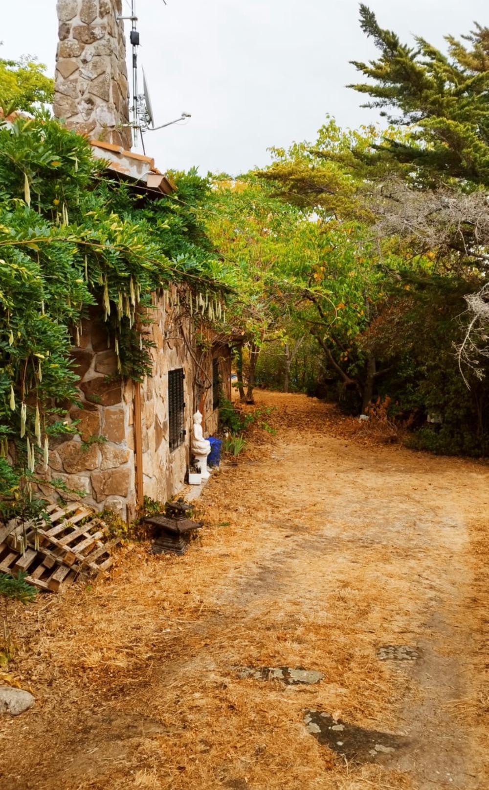 à vendre maison de campagne Miraflores De La Sierra Cuenca Alta Del Manzanares 2