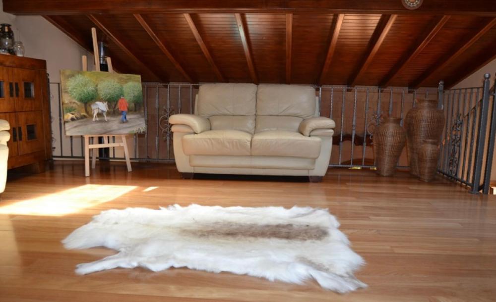  à vendre villa El Helechal Área Centro 1