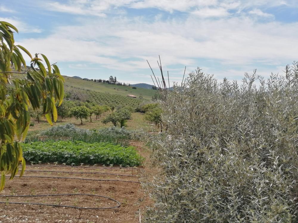  à vendre maison Bermejo-Caracuel Valle Del Guadalhorce 46