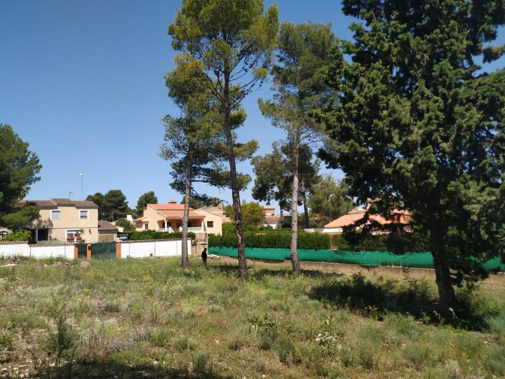  à vendre terrain Altury Ribera Alta 5